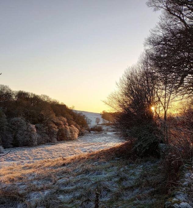 Willow Cottage, Gilchristland Organic Farm Closeburn Esterno foto