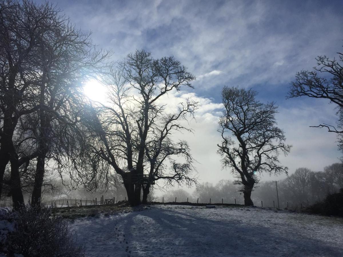 Willow Cottage, Gilchristland Organic Farm Closeburn Esterno foto