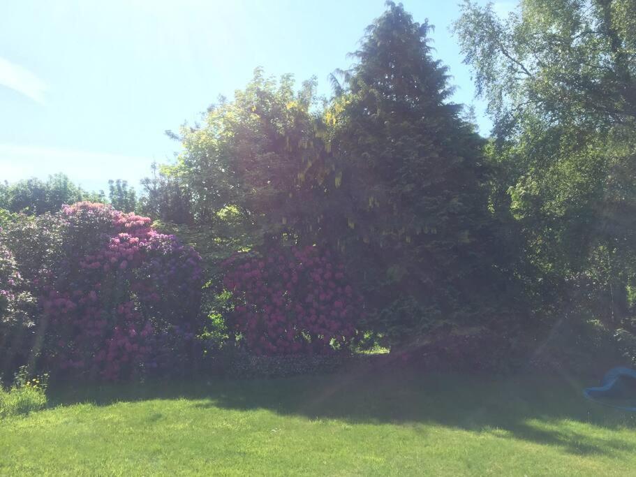 Willow Cottage, Gilchristland Organic Farm Closeburn Esterno foto